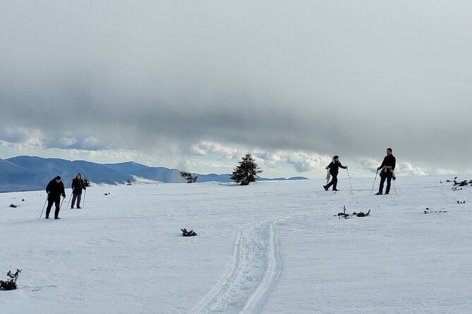 Snowshoeing Fun Tour From Cluj Napoca - Guide Highlights