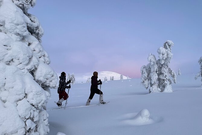 Snowshoeing in Pallas-Yllästunturi National Park - Reviews and Feedback