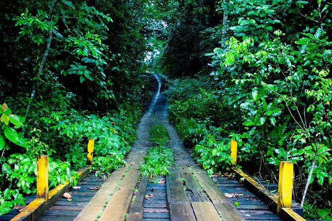 Soberania National Park Day Trip From Panama City - Getting to Soberania National Park