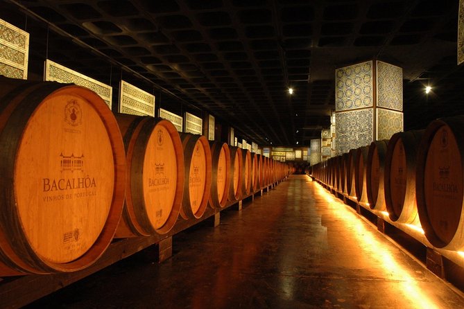South Portugal Wine Route Private Full Day Tour From Lisbon - Mixed Reviews and Feedback