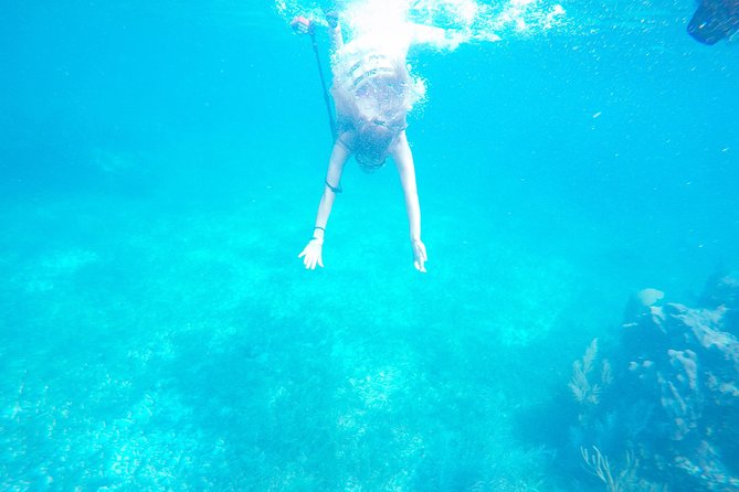Speed Boat & Snorkel Tour With Transportation ( Only Cancun Zone Area) - Customer Feedback and Experiences