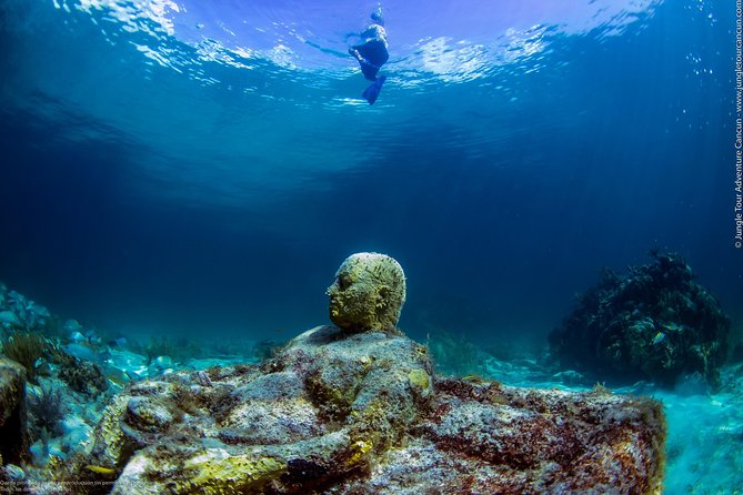Speedboat and Snorkel Tour: Single Passenger Boat - Cancellation and Booking
