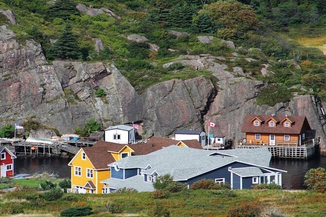 St. Johns, Quidi Vidi Village & Signal Hill Small Group Tour - Traveler Requirements