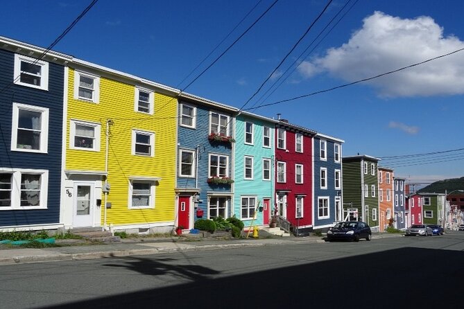 St. John'S Small Group Tour With Iceberg Quest Boat Cruise - Tour Conditions and Accessibility