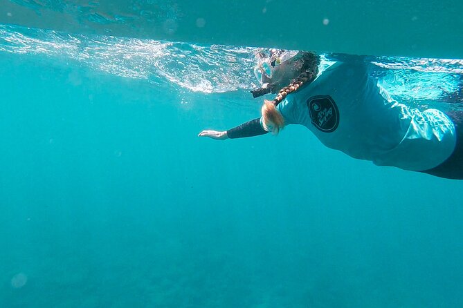 Stand up Paddle and Snorkeling Tour of Gran Canaria With Transfers South Area - Additional Information