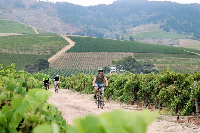 Stellenbosch Half Day Winelands Cycle Tour - Guest Feedback