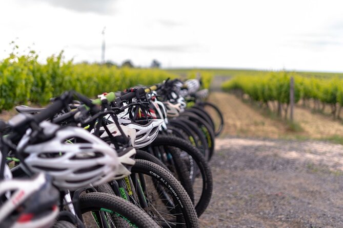 Stellenbosch Winelands Luxury EBike Tour © - Culinary Delights