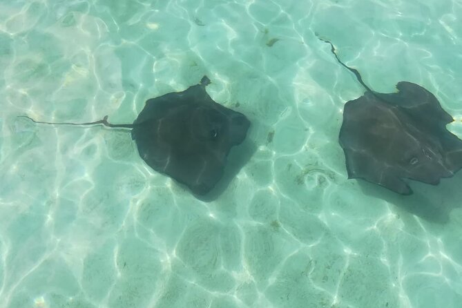 Stingray City Experience, Devils Bridge and Long Bay Beach - Activity Duration and Difficulty