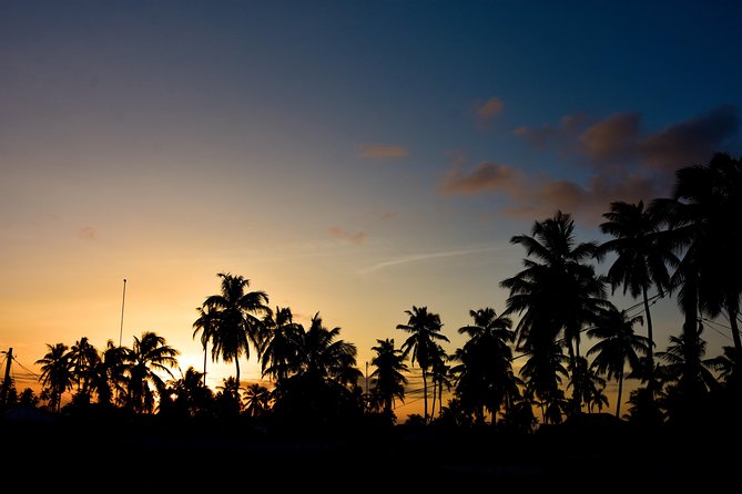 Stone Town Tour - Pricing and Booking