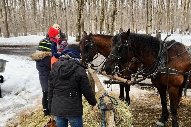 Sugar Shack (Feb to May) Maple Syrup Private Day Tour With Lunch From Montreal - Customer Experiences