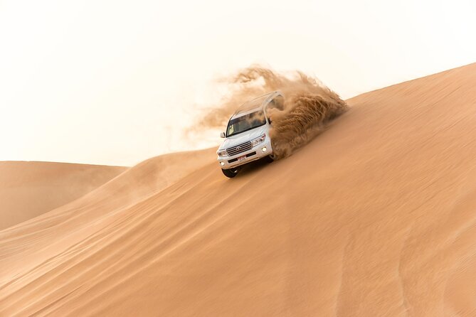 Sundowner Dune Safari With Dinner - Traveler Feedback and Experiences