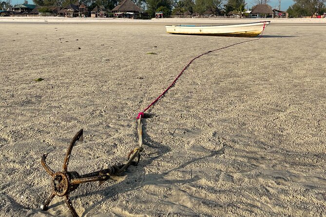 Sunrise Beach Walk With Picnic Breakfast Activity - Accessibility Features