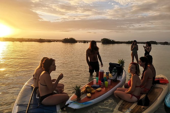 Sunrise in Paddle With Picnic in Front of the Bird Sanctuary - Meeting Point and Duration