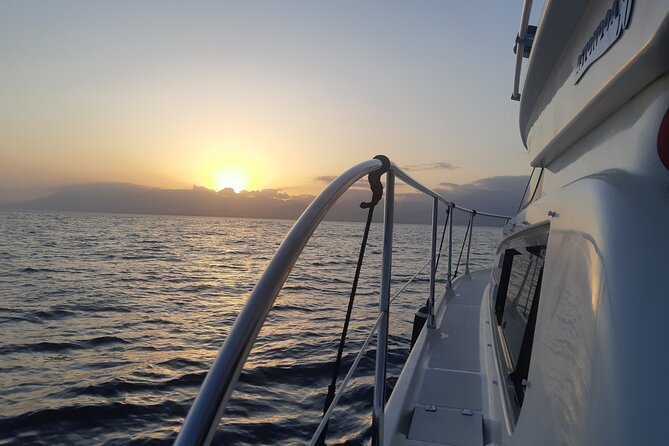 Sunset by Boat in Marbella - Viators Company and Policies