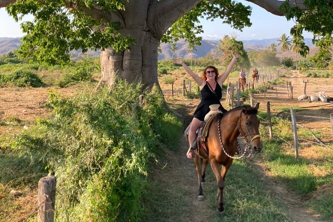 Sunset by Horse (River and Beach) - Positive Reviews