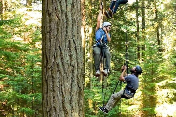 Sunset Canopy Climb on Lopez Island - Climbing Adventure Description