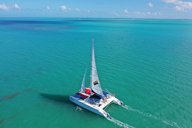 Sunset Sail & Dolphin Search With Honest Eco - Safety and Accessibility