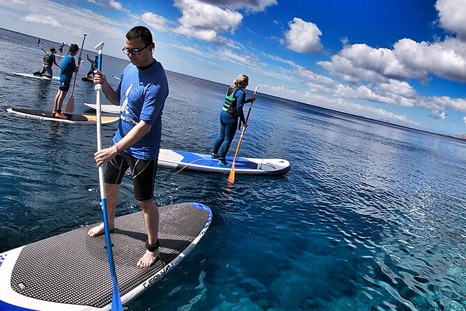 Sup Experiences in the Ocean - Participant Requirements