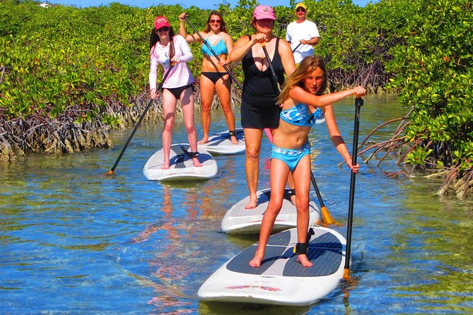 SUP Paddleboard Lesson and Tour - Port Canaveral & Cocoa Beach - Sum Up
