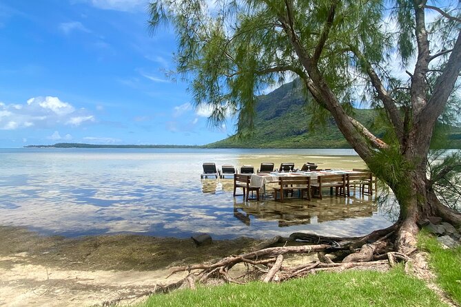 Swimming With Dolphins, Turtles, Whales / Seafood Lunch - Guest Feedback and Ratings