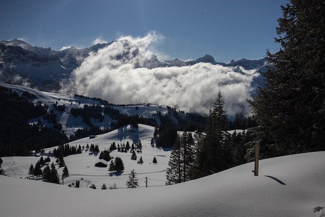 Swiss Ski Experience in Engelberg - Titlis Rotair Gondola Ticket