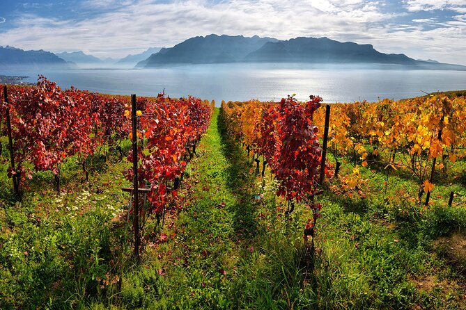 Swiss Wine Tasting at Lavaux Vineyards: Private Trip From Geneva - Pricing and Cancellation Policy