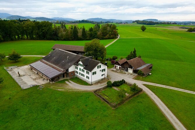 Switzerland Picturebook Private Tour: Farm, Villages, & Mountains - What to Bring