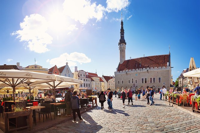Tallinn Highlights and Marzipan Painting Masterclass - Coffee Break Delights