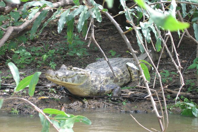 Tambopata Amazon Reserved Zone Exclusive Experience (6 Days) - Transportation and Pickup Details