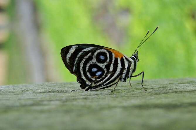 Tambopata Reserve Excursion 3D - 2N From Cusco - Cancellation Policy