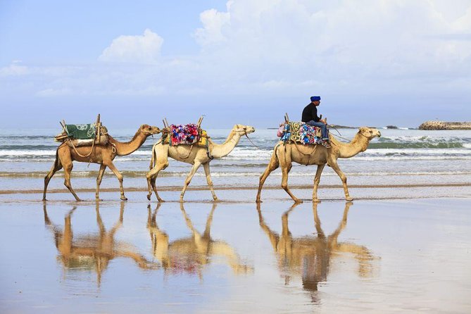 Tangier Tour - Pricing Details