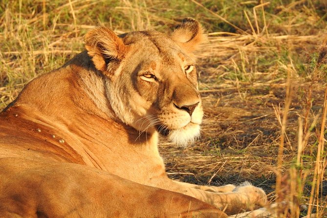 Tarangire Day Trip From Arusha - Pricing and Cancellation Policy
