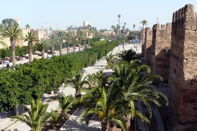 Taroudant and Tiout Day Trip From Agadir With Lunch - Lunch and Dining