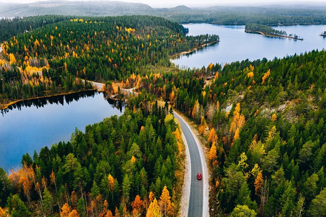 Taste of Lapland - Forest Adventure Activities