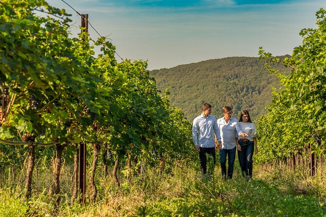 Tasting of Valpolicella Wines Tradition and Modernity - Alcoholic Beverage Selection