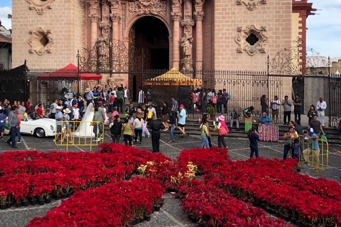 Taxco and Cuernavaca Tour - Reviews and Feedback