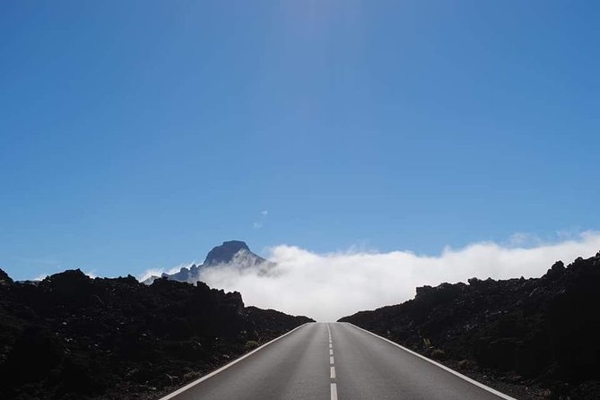 TEIDE NIGHT Astronomy Stargazing Bus Tour, Meal & Drinks Included! - Transportation and Group Size