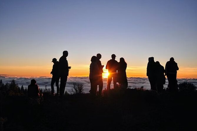 TEIDE NIGHT Stargazing Tour Review - Operator and Tour Logistics