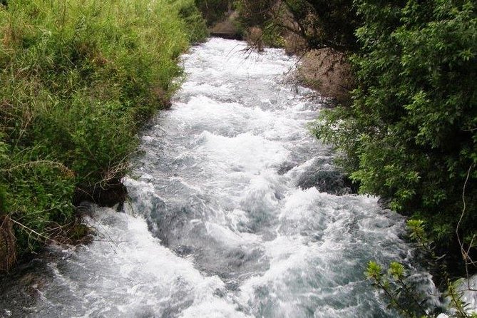 Tel Dan and Baniyas National Parks Private Tour - Discovering Banias Nature Reserve