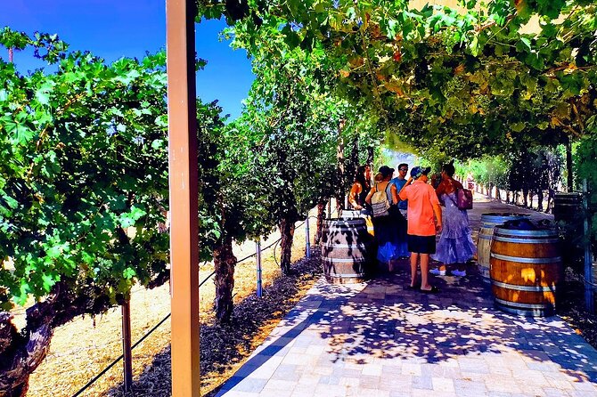 Temecula Wine Tour From Los Angeles - Health and Accessibility Considerations