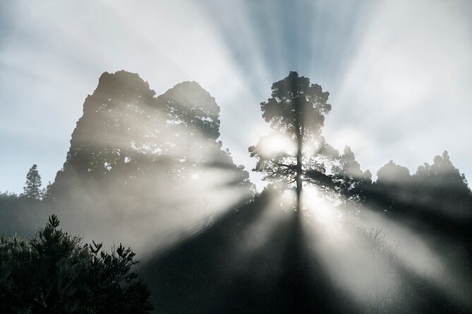 Tenerife: Landscape Photography Workshops, 10 Hours - Confirmation and Accessibility