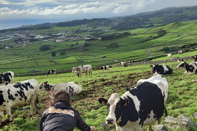 Terceira Island Full Day Jeep Tour - Expert Guide Insights