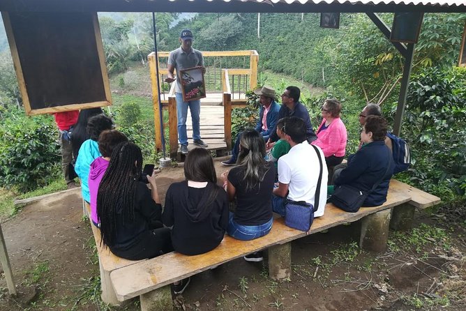 The Acacias Coffe Farm - Accessibility and Participation