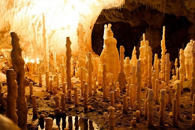 The Bears Cave - One-Day Air Conditioned Car Tour From Oradea - Weather and Attire