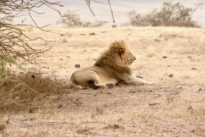 The Best 4 Days Serengeti & Ngorongoro Private Mid-range Safari - Cancellation Policy