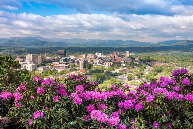 The Best of Asheville: Private 2.5-hour Walking Tour - Things To Known