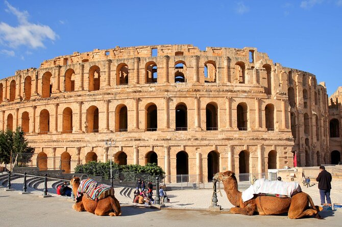 The Best of Tunisia, 3 Days Guided Tour With Lunch - Customer Feedback