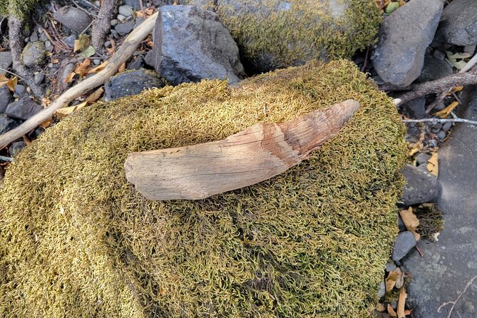 The Bigfoot Tour in Oregon - Pricing and Cancellation Policy