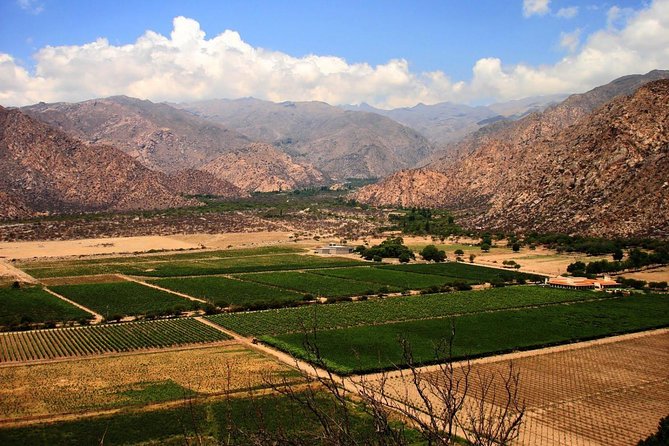 The Calchaqui Valley Winery and Scenery Tour in Cafayate - Customer Feedback and Ratings