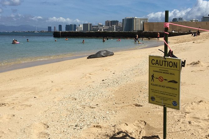 The East Waikiki Walking Tour - Booking Information